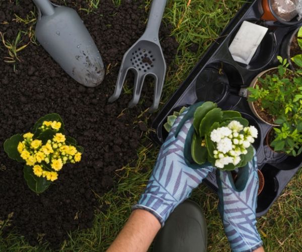 Gardening Tips