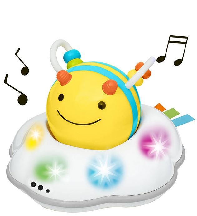 Skip Hop Explore Crawl Toy
